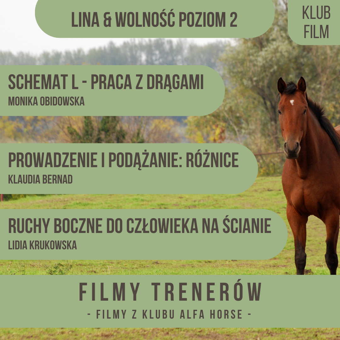 filmy_trenerów_marzecz_2025_2