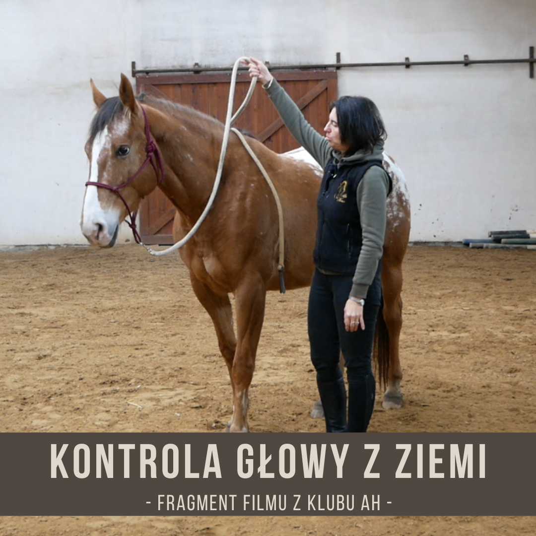 kontrola_glowy_z_ziemi
