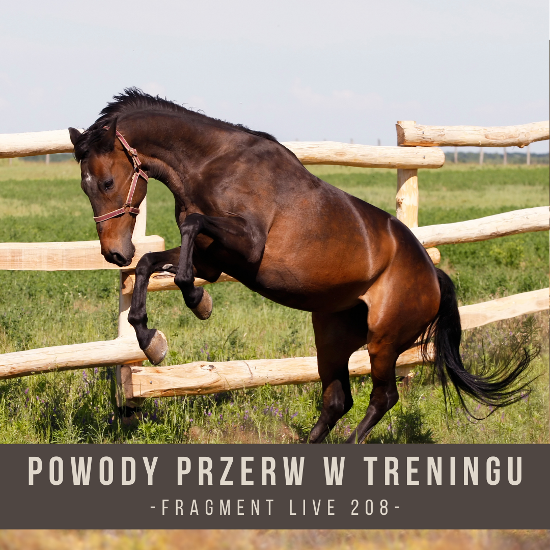 powody_przerw_w_treningu_fragment_live_208