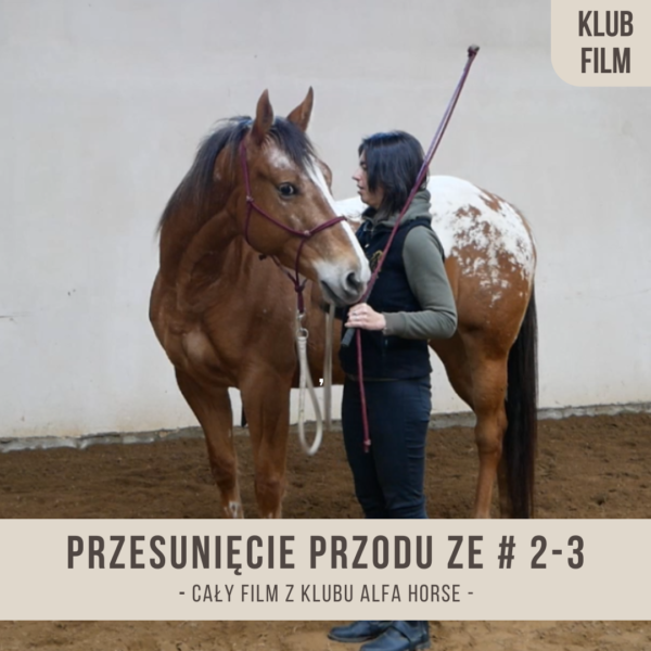 Przesunięcie przodu ze # 2-3