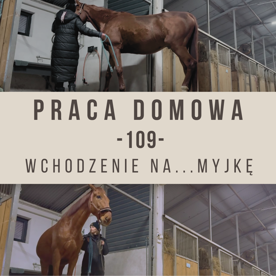 Praca domowa 109 Wchodzenie na myjkę