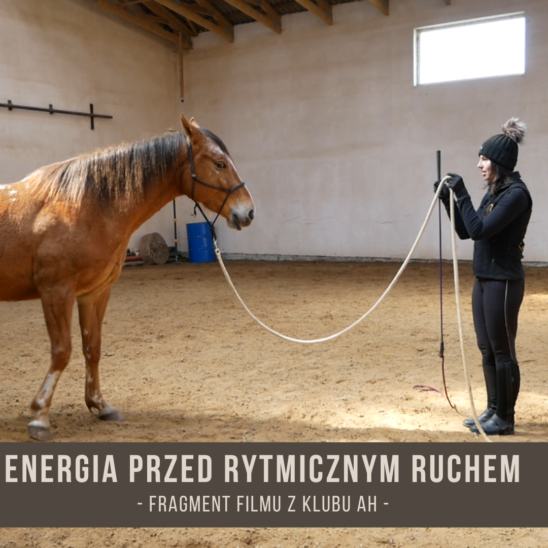 energia_przed_rytmicznym_ruchem