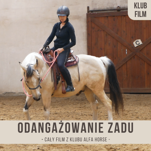 Odangazowanie_zadu