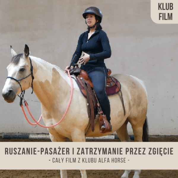 Ruszanie_pasazer_i_zatrzymanie_przez_zgiecie