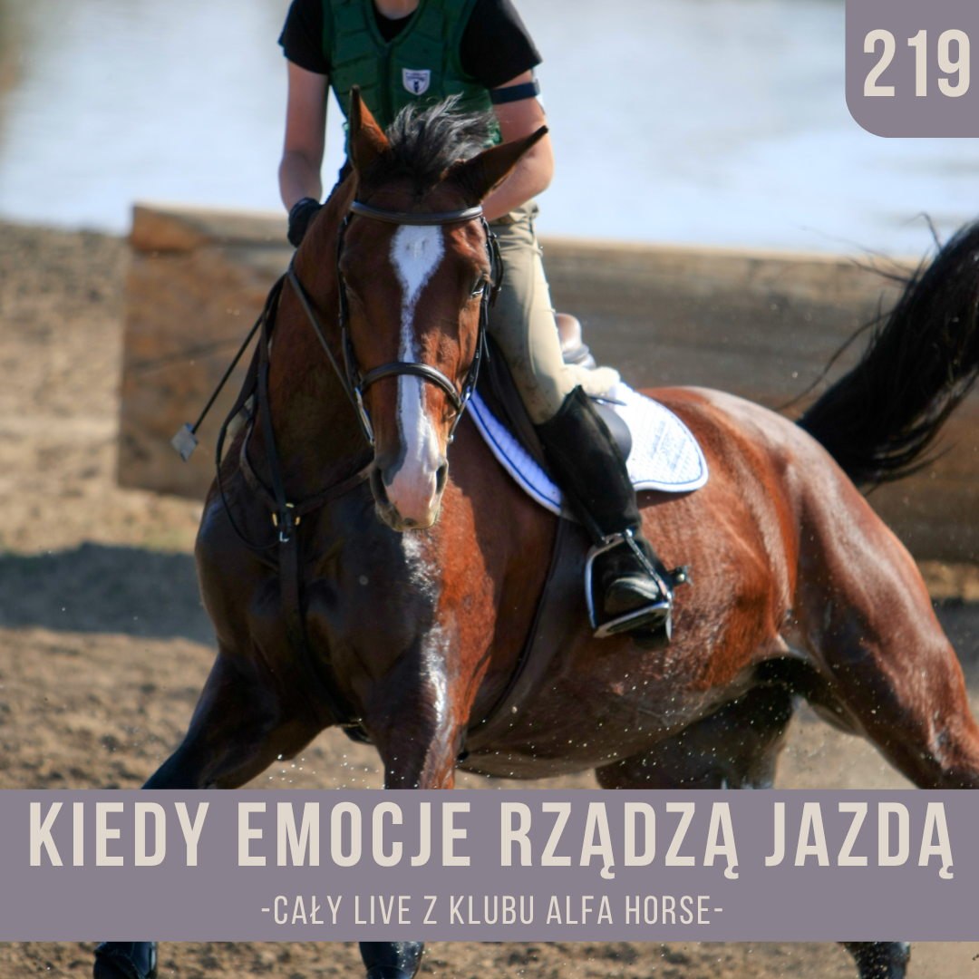 kiedy_emocje_rzadza_jazda_live_219