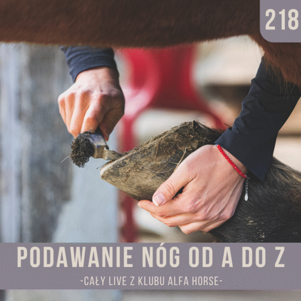podawanie_nog_od_A_do_Z