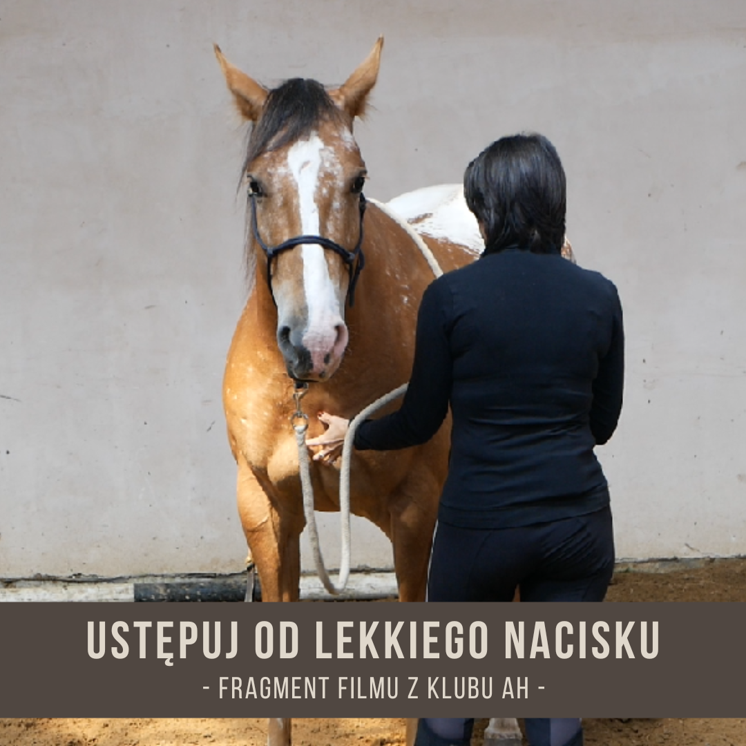 ustepuj_od_lekkiego_nacisku