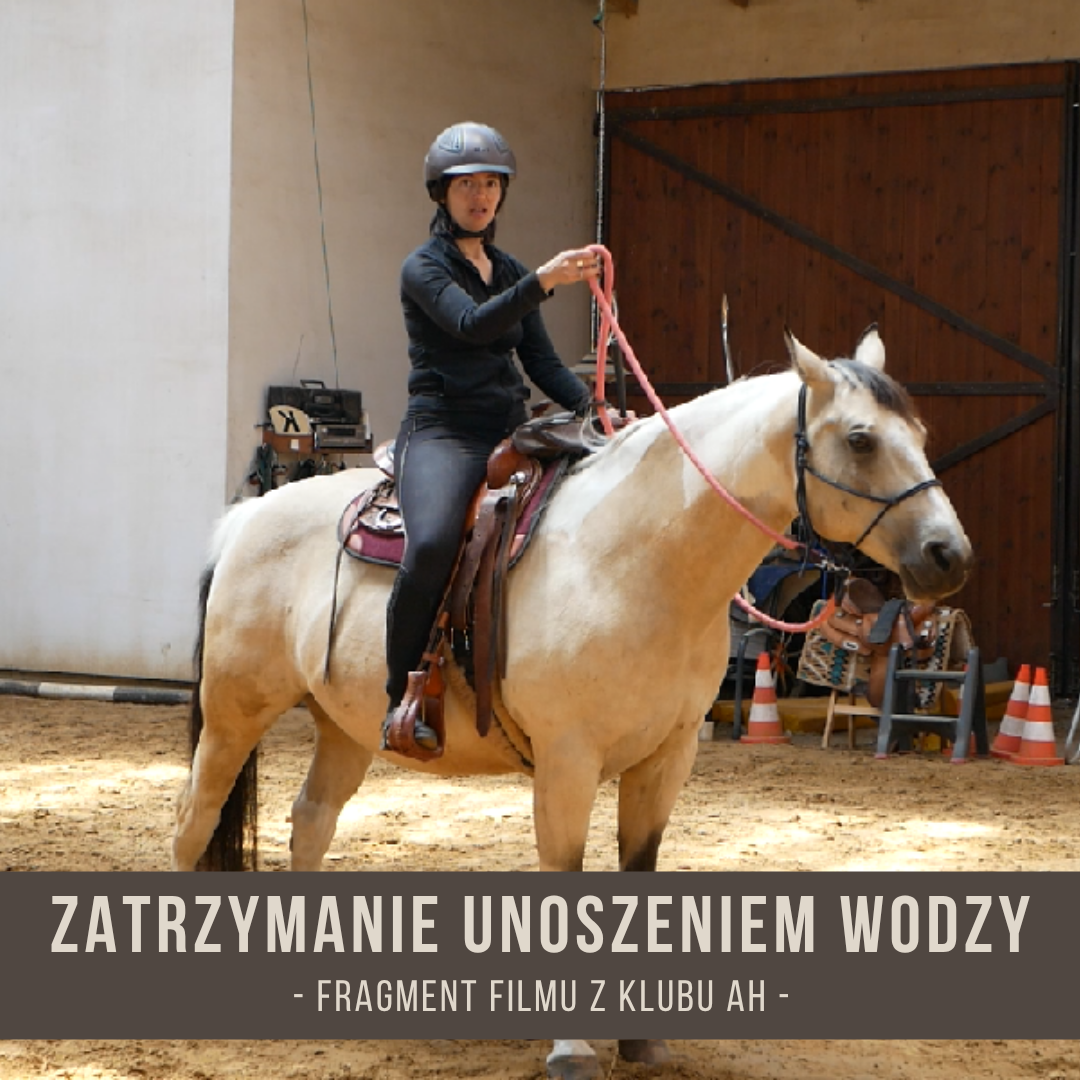 zatrzymanie_unoszeniem_wodzy