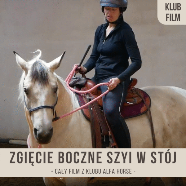 zgiecie_boczne_szyi_w_stoj