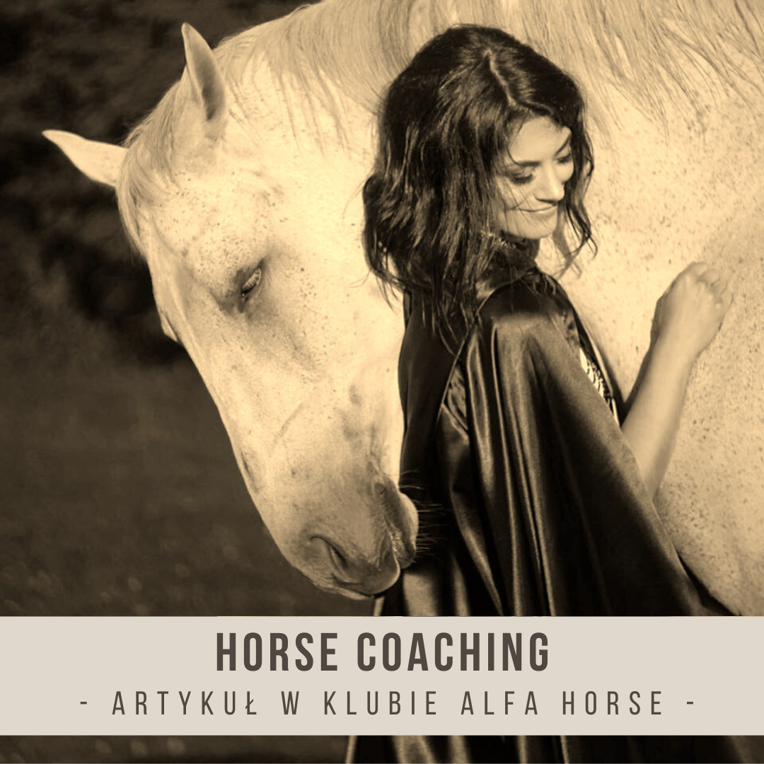 horse_coaching_joanna_szadkowska