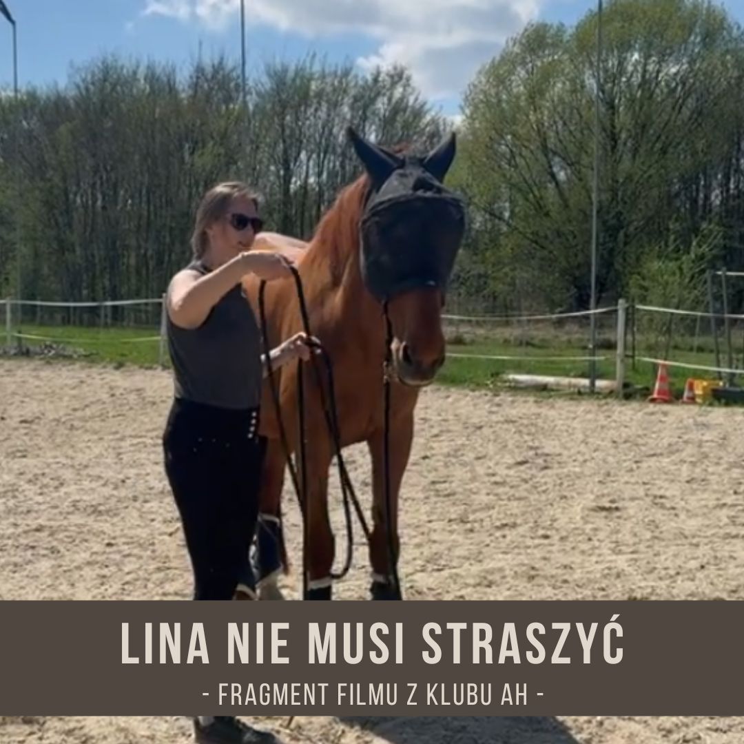 lina_nie_musi_straszyc