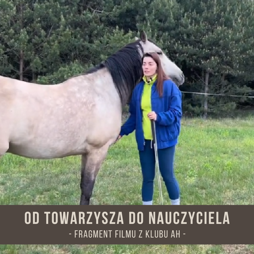od_towarzysza_do_nauczyciela_trening_koni
