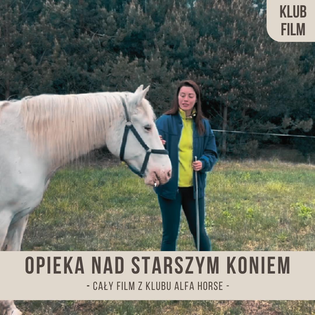 opieka_nad_starszym_koniem
