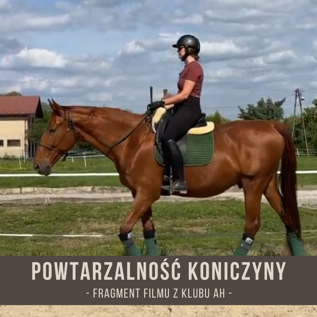 powtarzalnosc_koniczyny