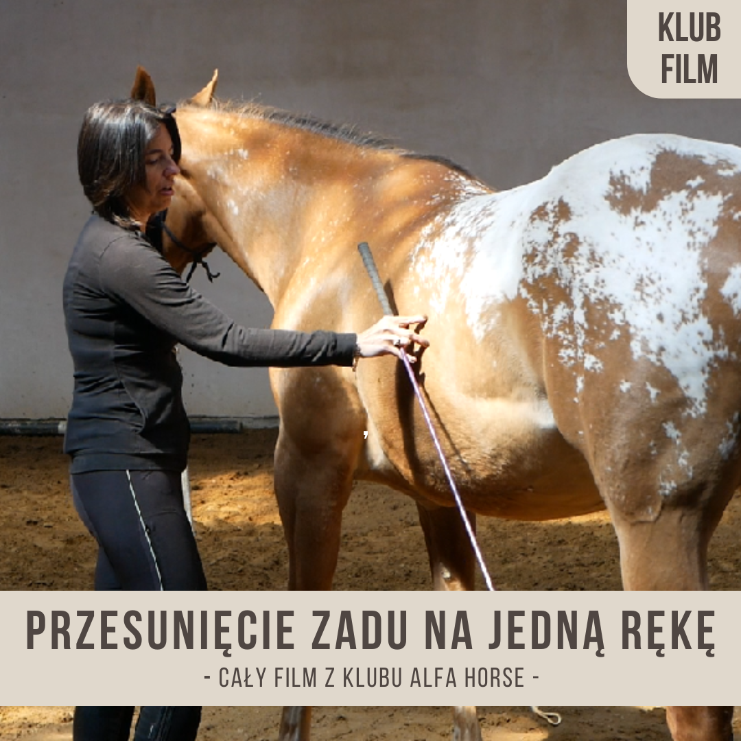 przesuniecie_zadu_najedna_reke