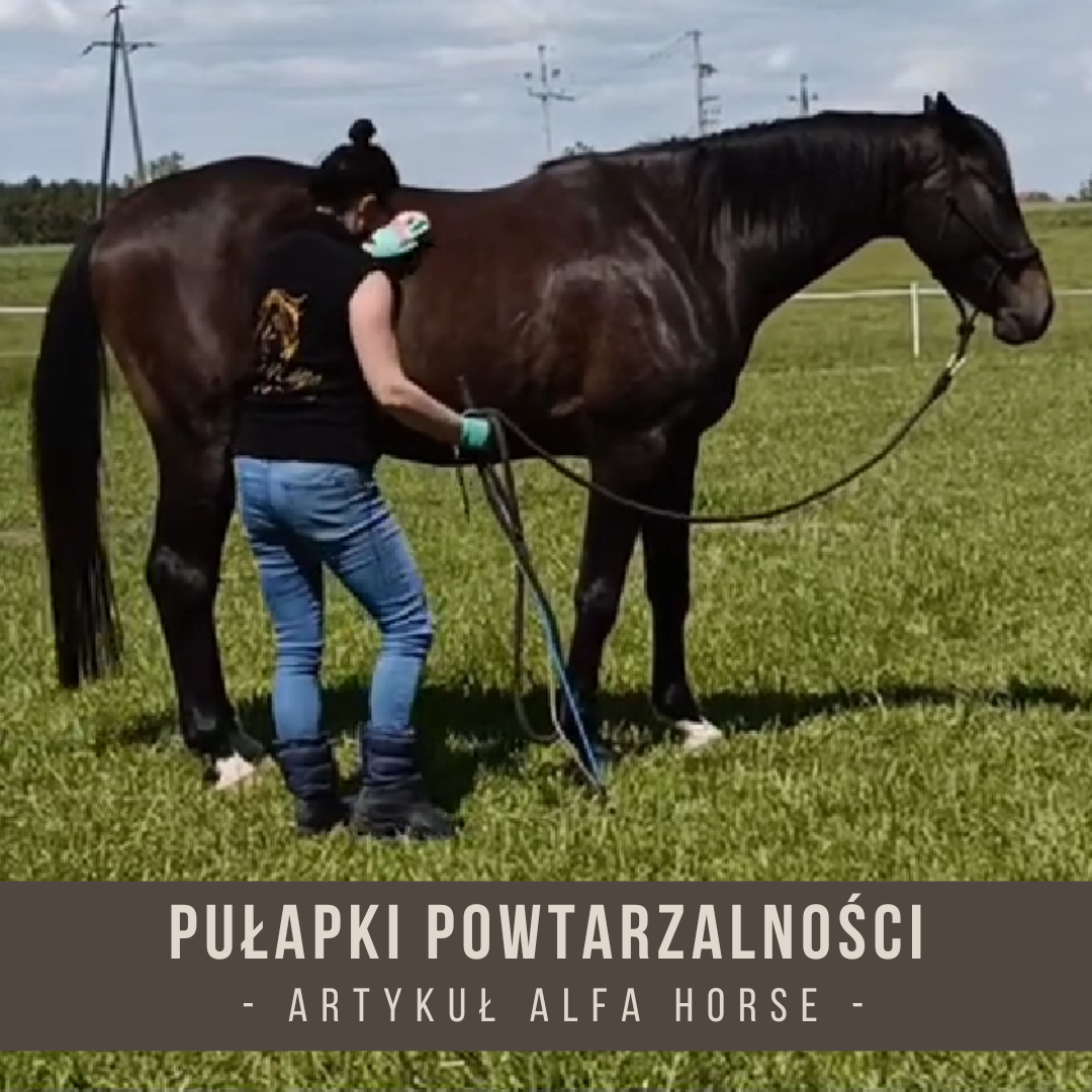 pulapki_powtarzalnosci_alfa_horse_trening_koni