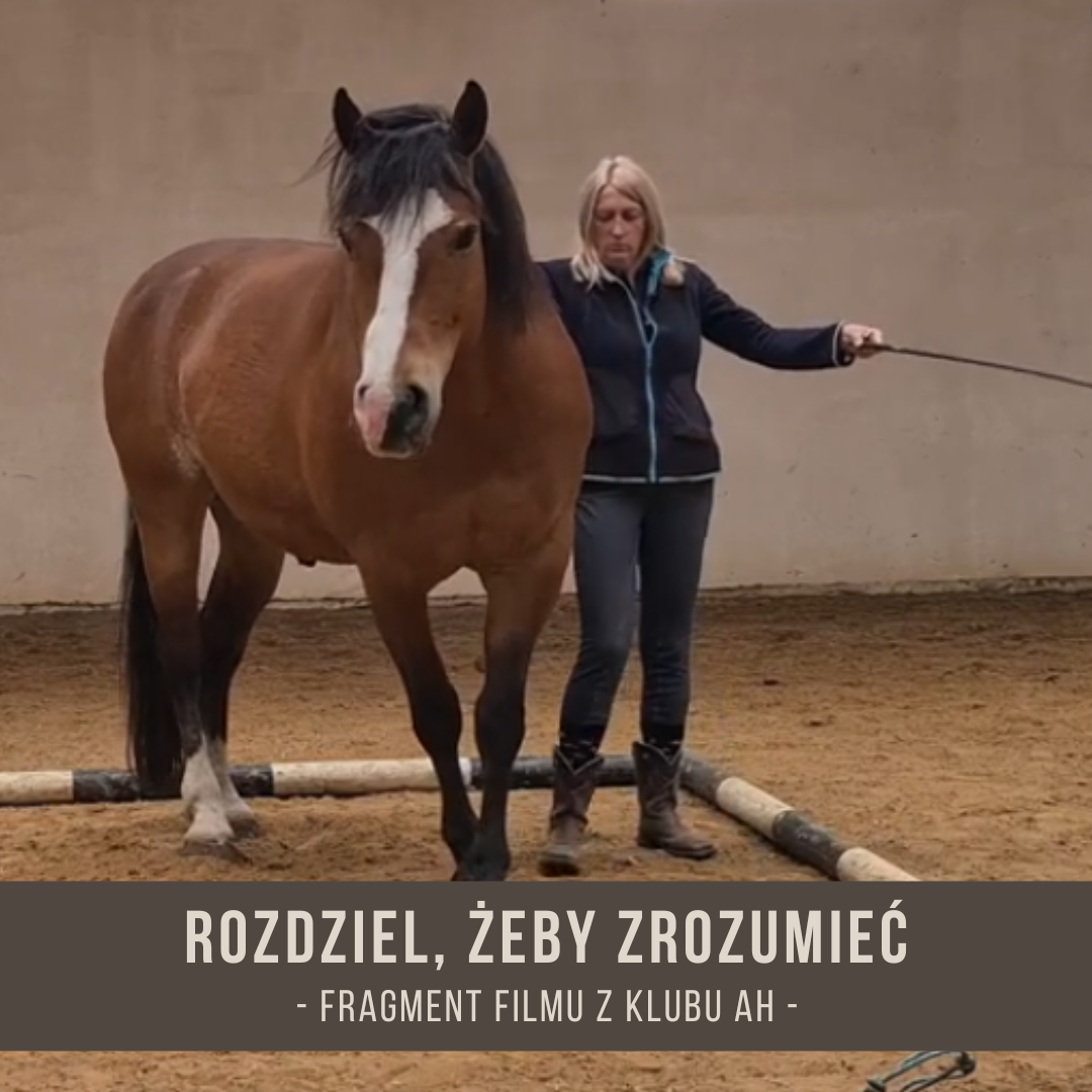 rozdziel_zeby_zrozumieć