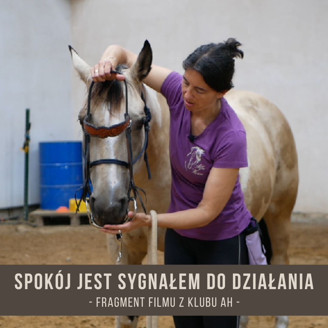 spokoj_jest-sygnalem_do_dzialania