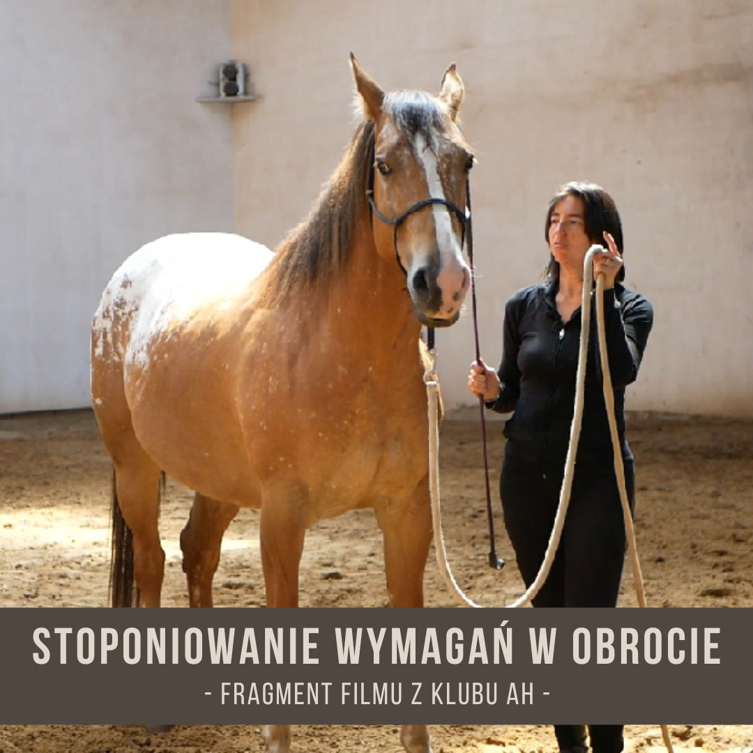 stopniowanie_wymagan_w_obrocie
