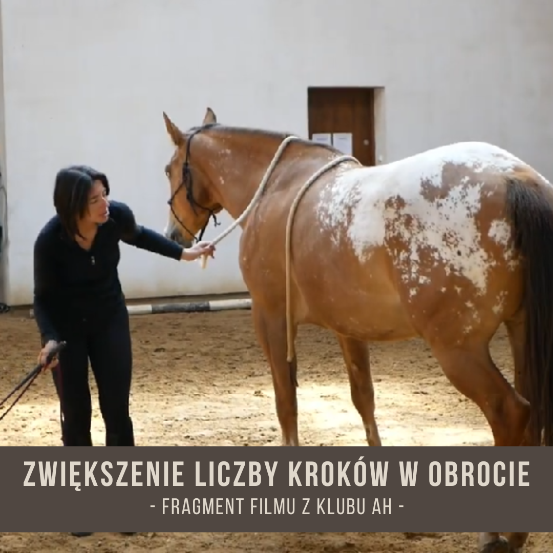 zwiekszenie_liczby_krokow_w_obrocie