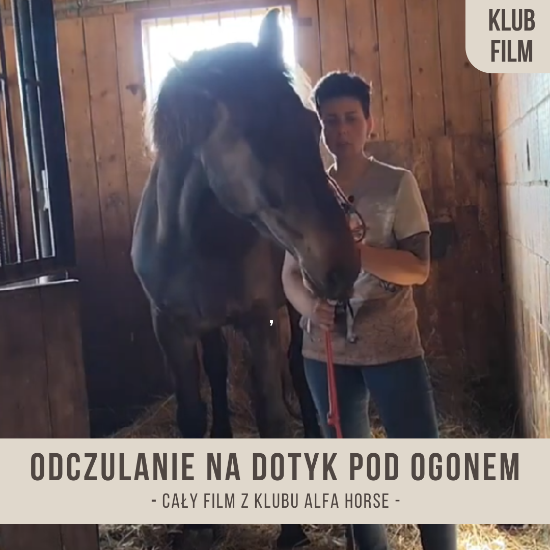 odczulanie_na_dotyk_pod_ogonem