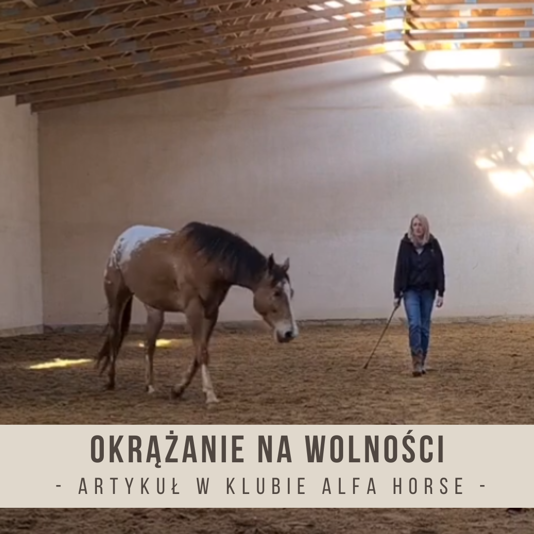 okrazanie_na_wolnosci_