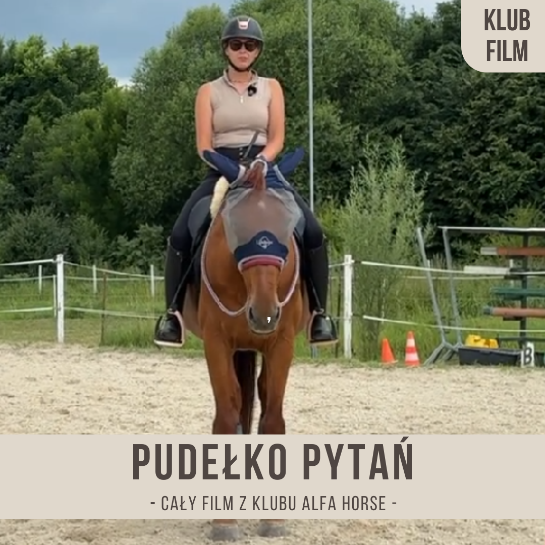 pudelko_pytan