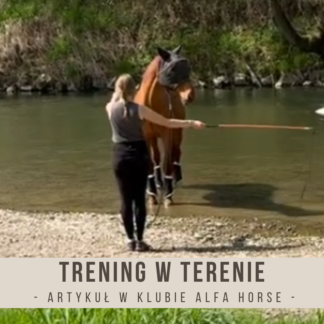 trening_w_terenie