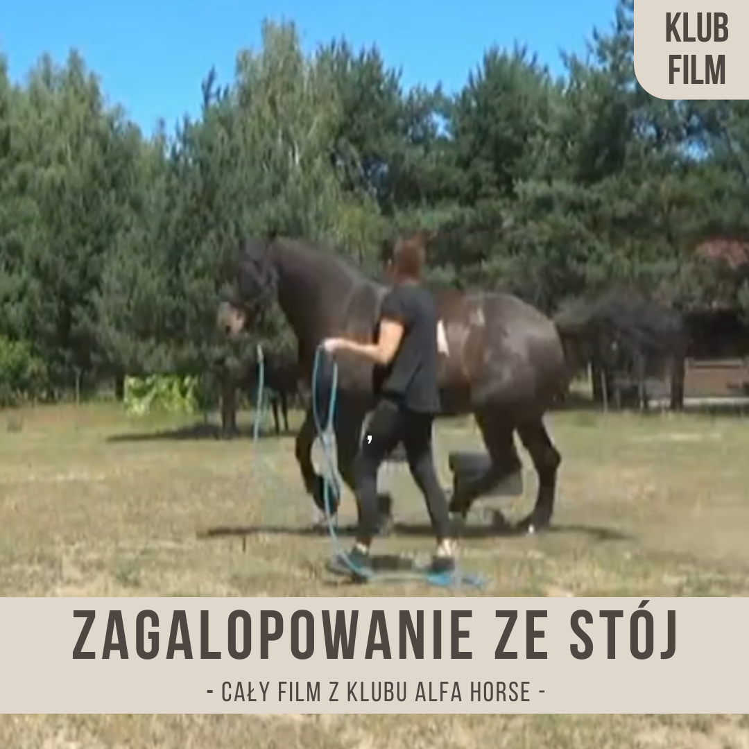 zagalopowanie_ze_stoj