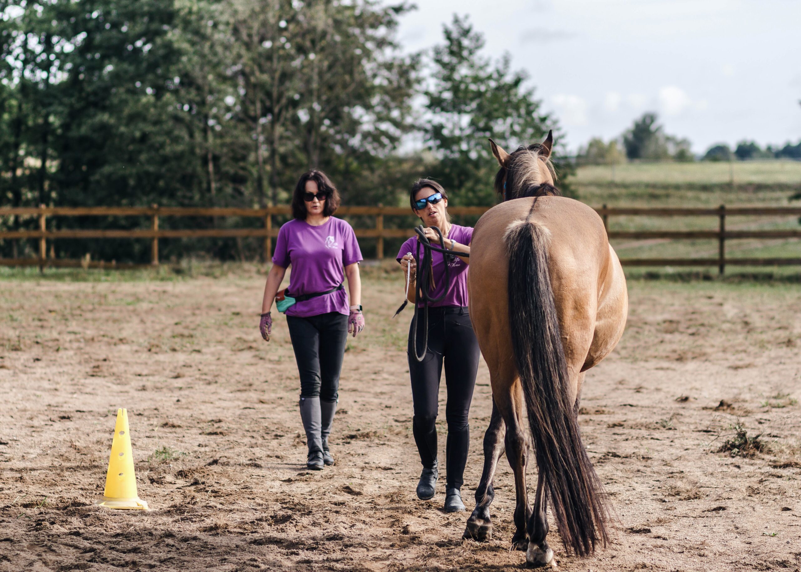 katarzyba_agafonow_trener_alfa_horse
