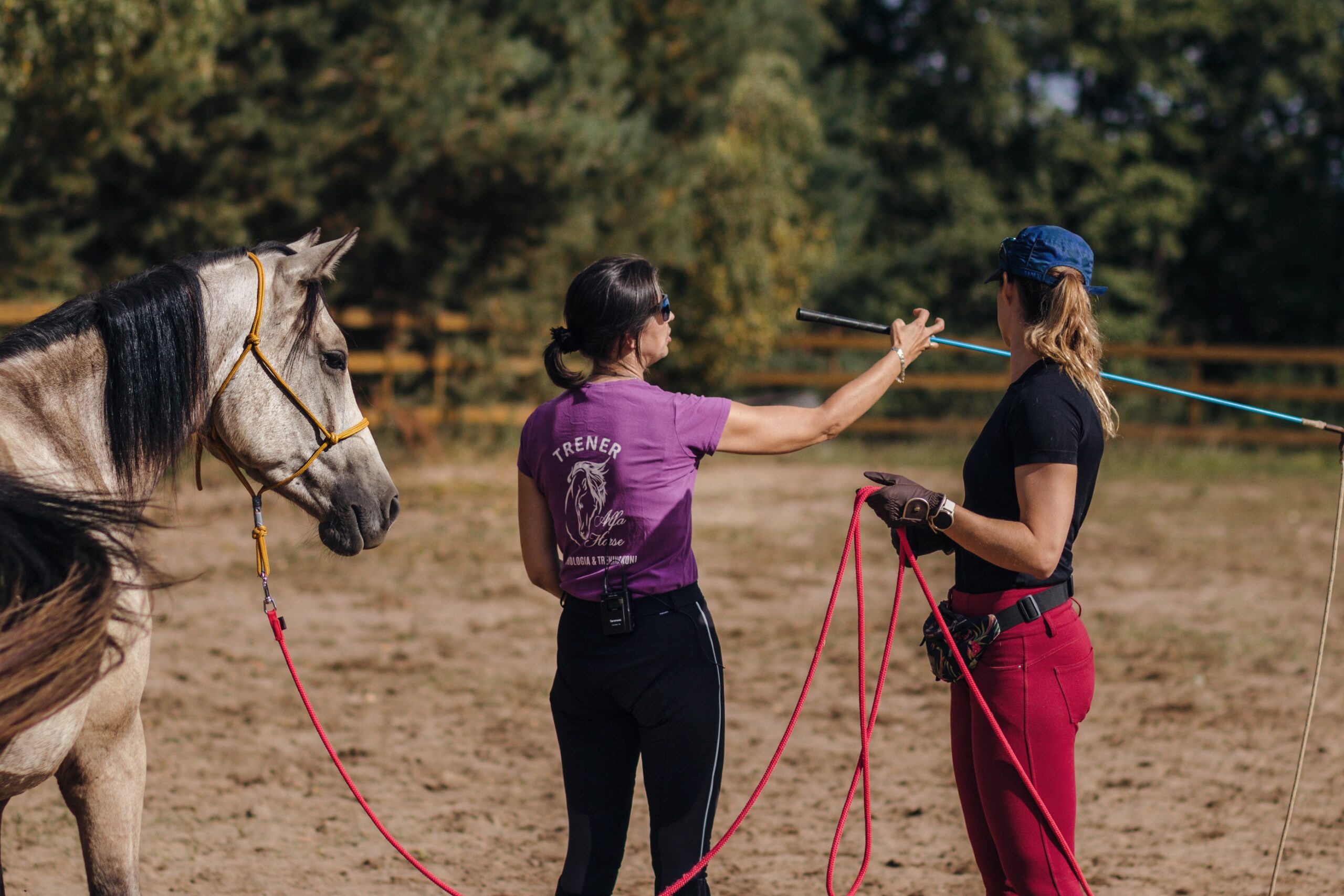 joanna_tylenda_trener_alfa_horse