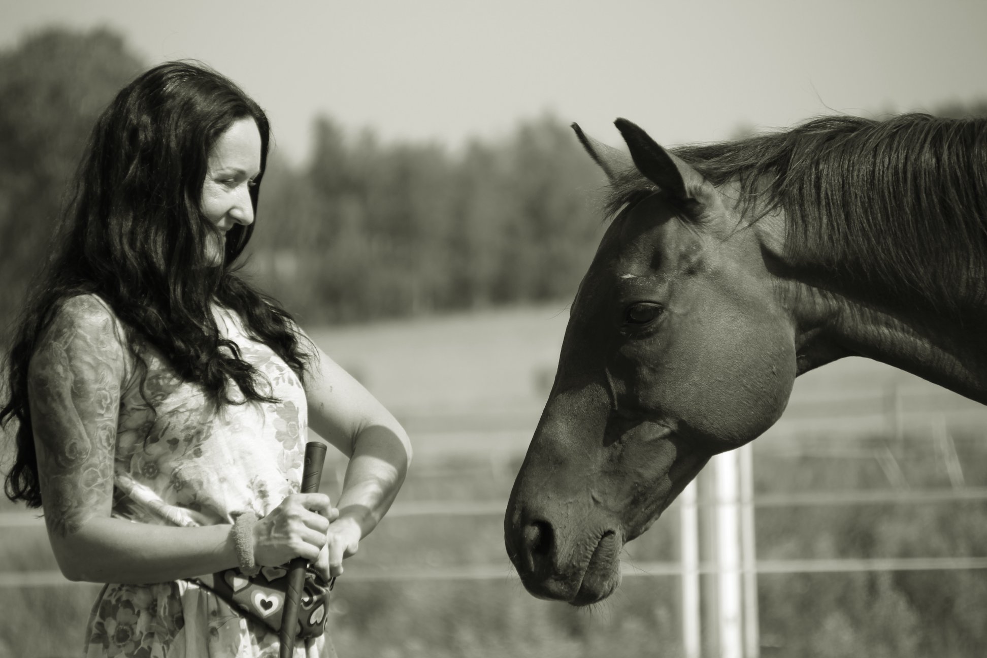 lidia_krukowska_trener_alfa_horse