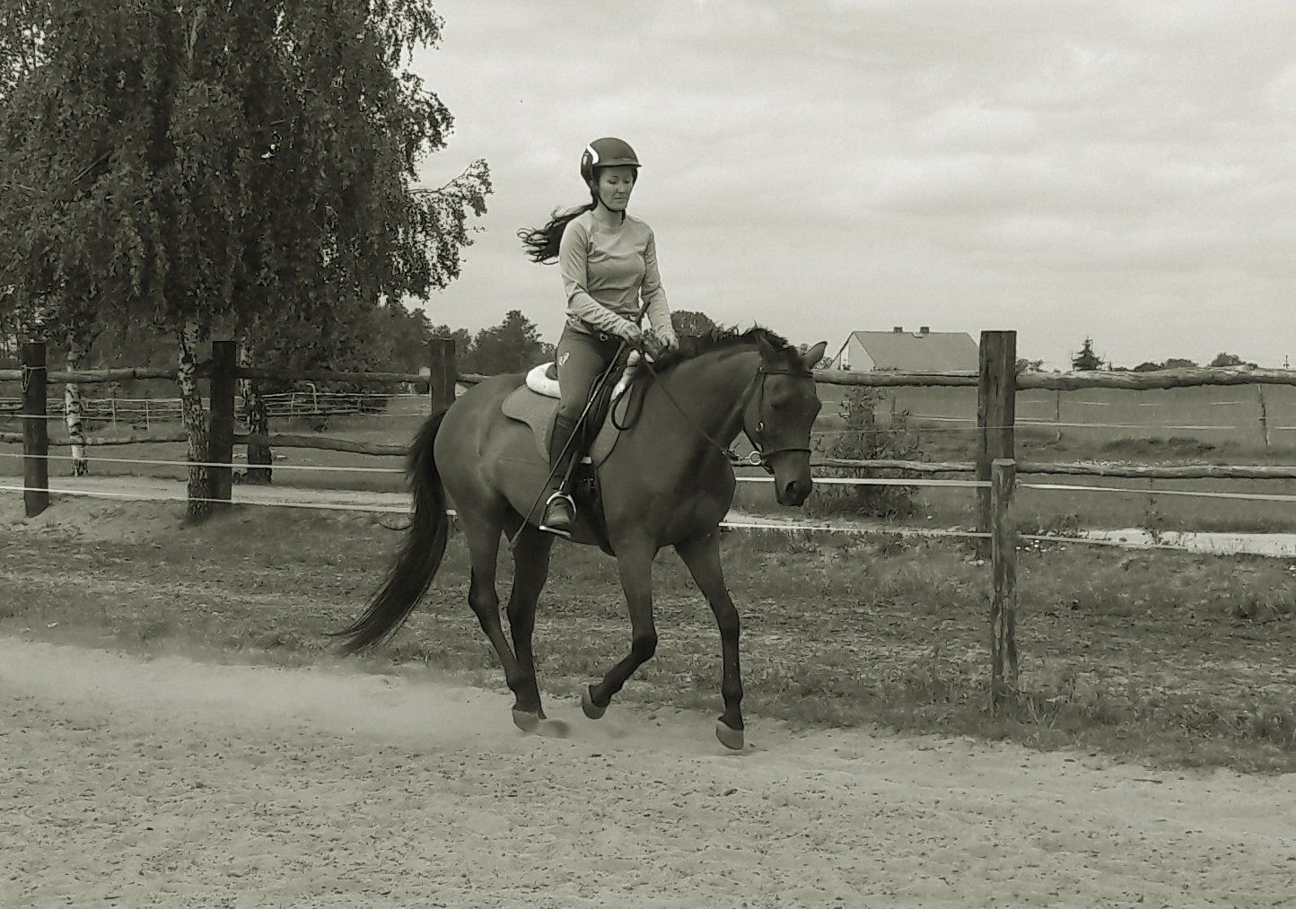lidia_krukowska_trener_alfa_horse