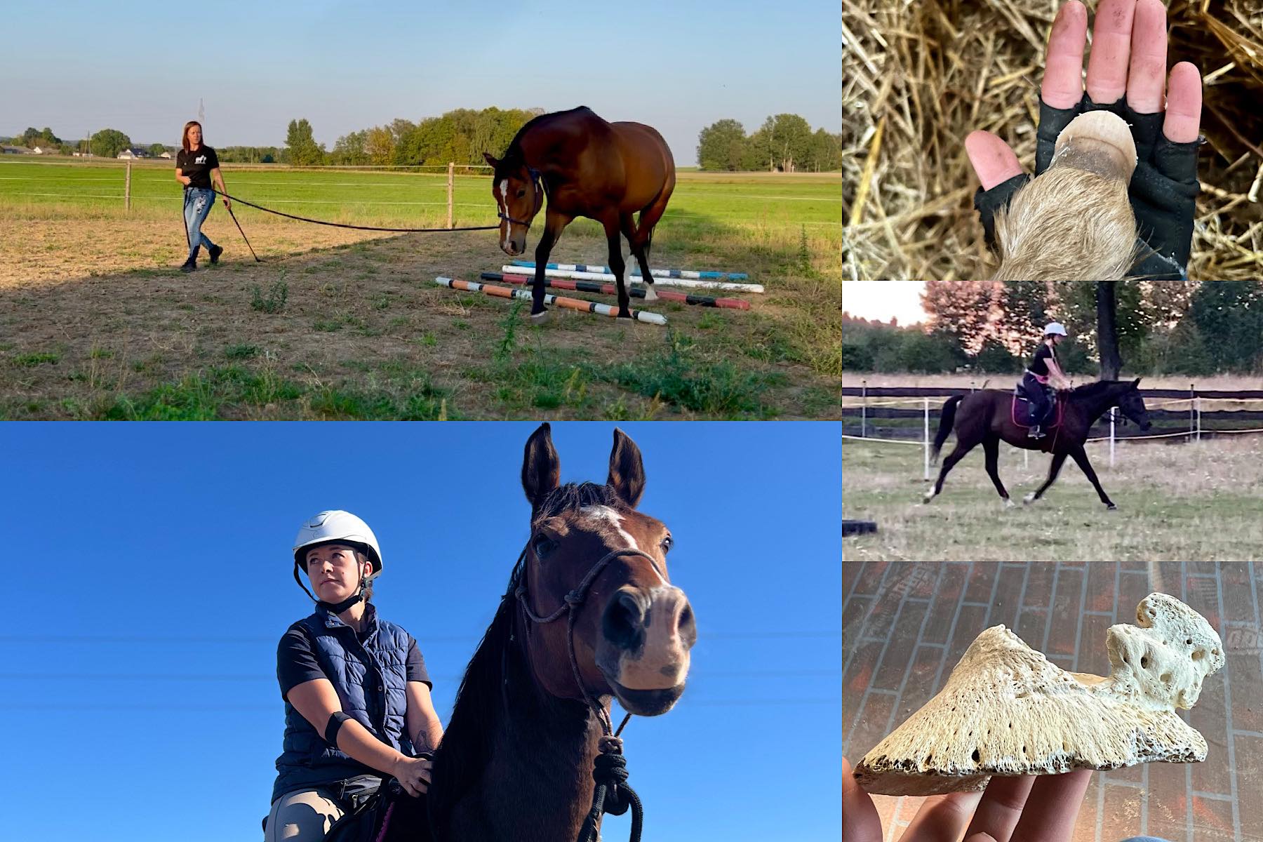 paulina_nawotka_trener_alfa_horse