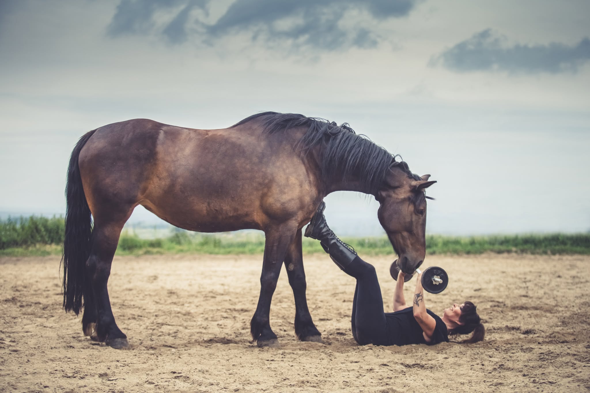 beata_choruz_trener_alfa_horse