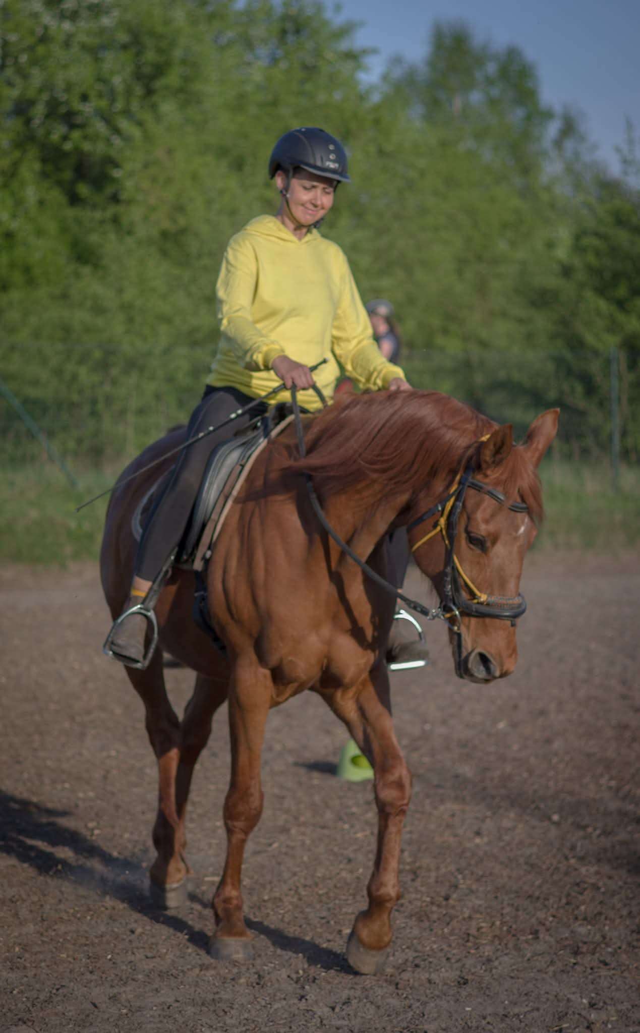 marta_kwiecien_trener_alfa_horse