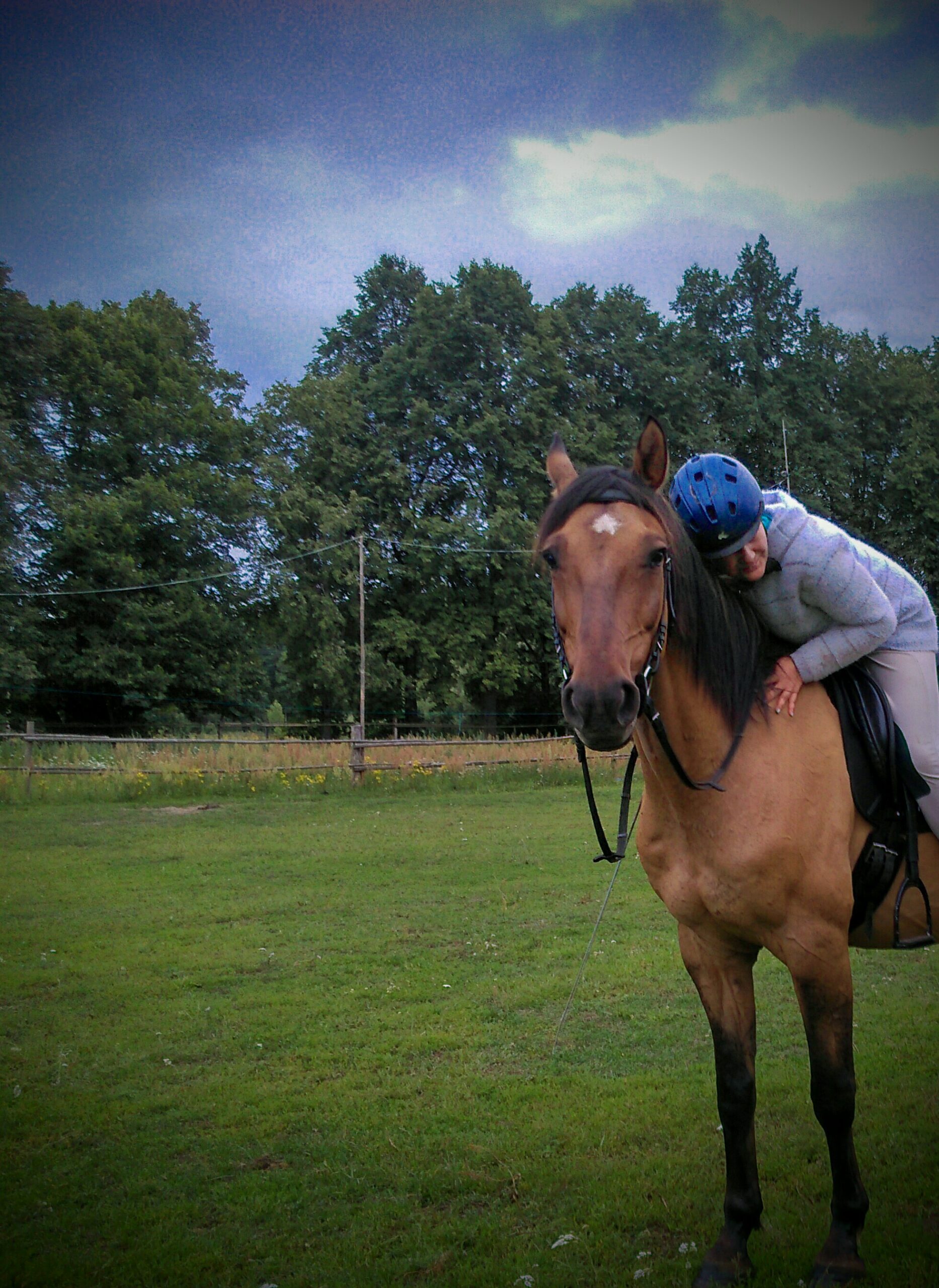 katarzyba_agafonow_trener_alfa_horse