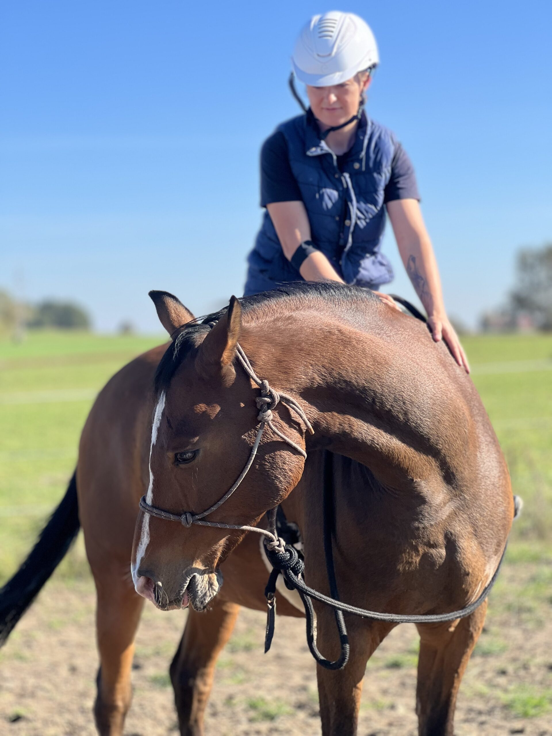 paulina_nawotka_trener_alfa_horse