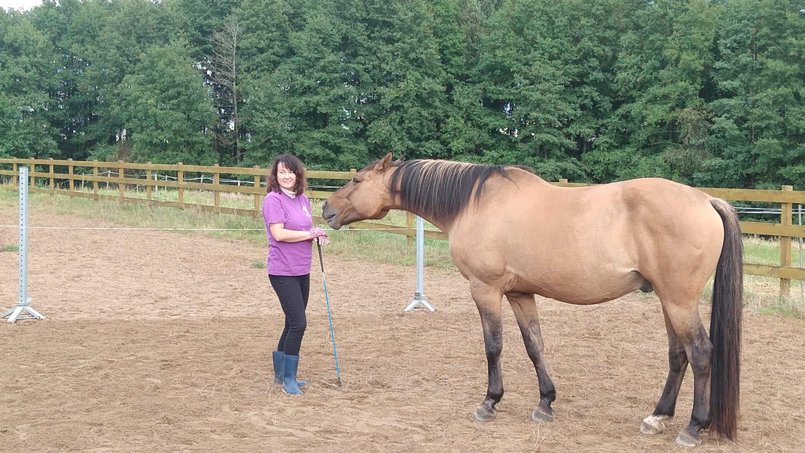 katarzyba_agafonow_trener_alfa_horse
