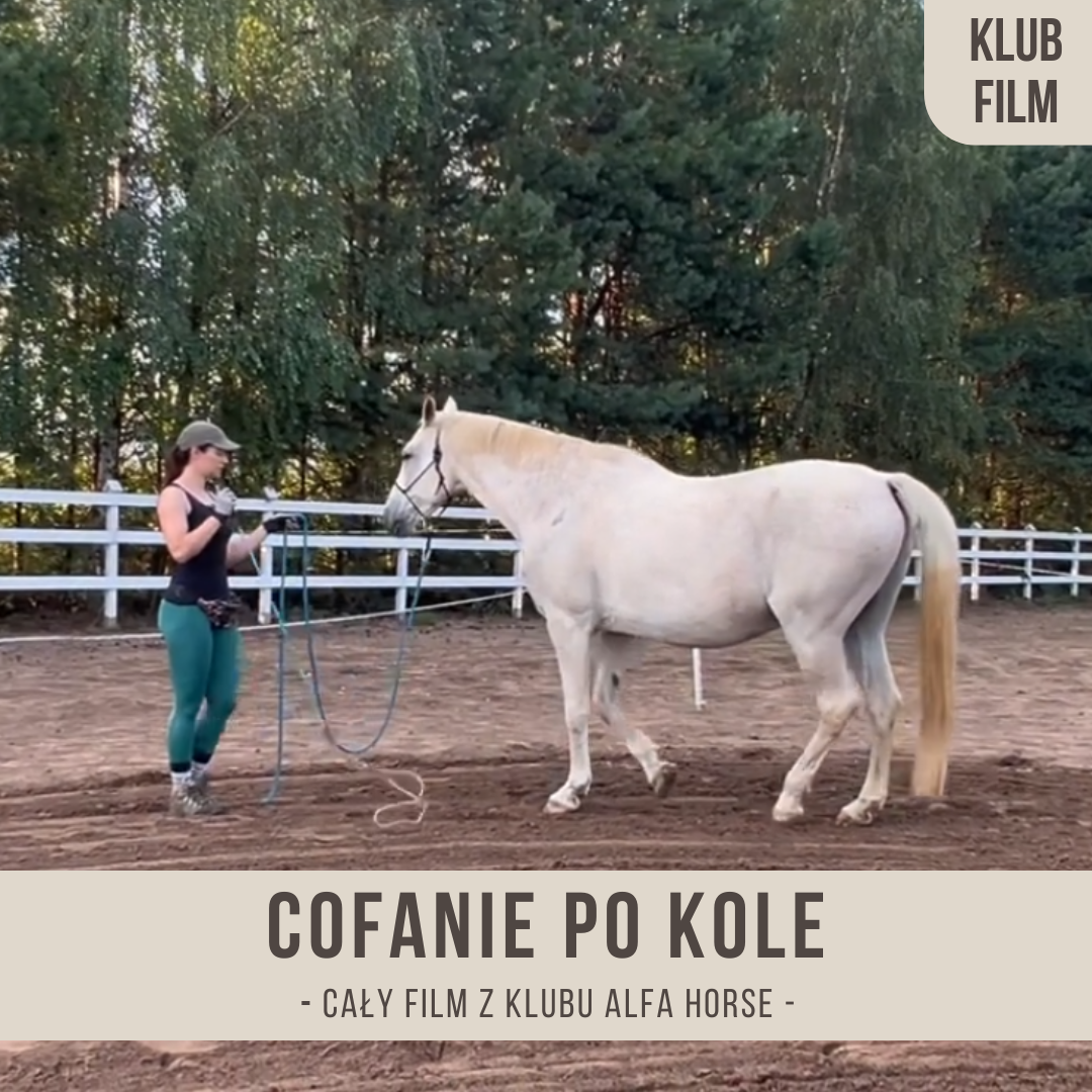cofanie_po_kole
