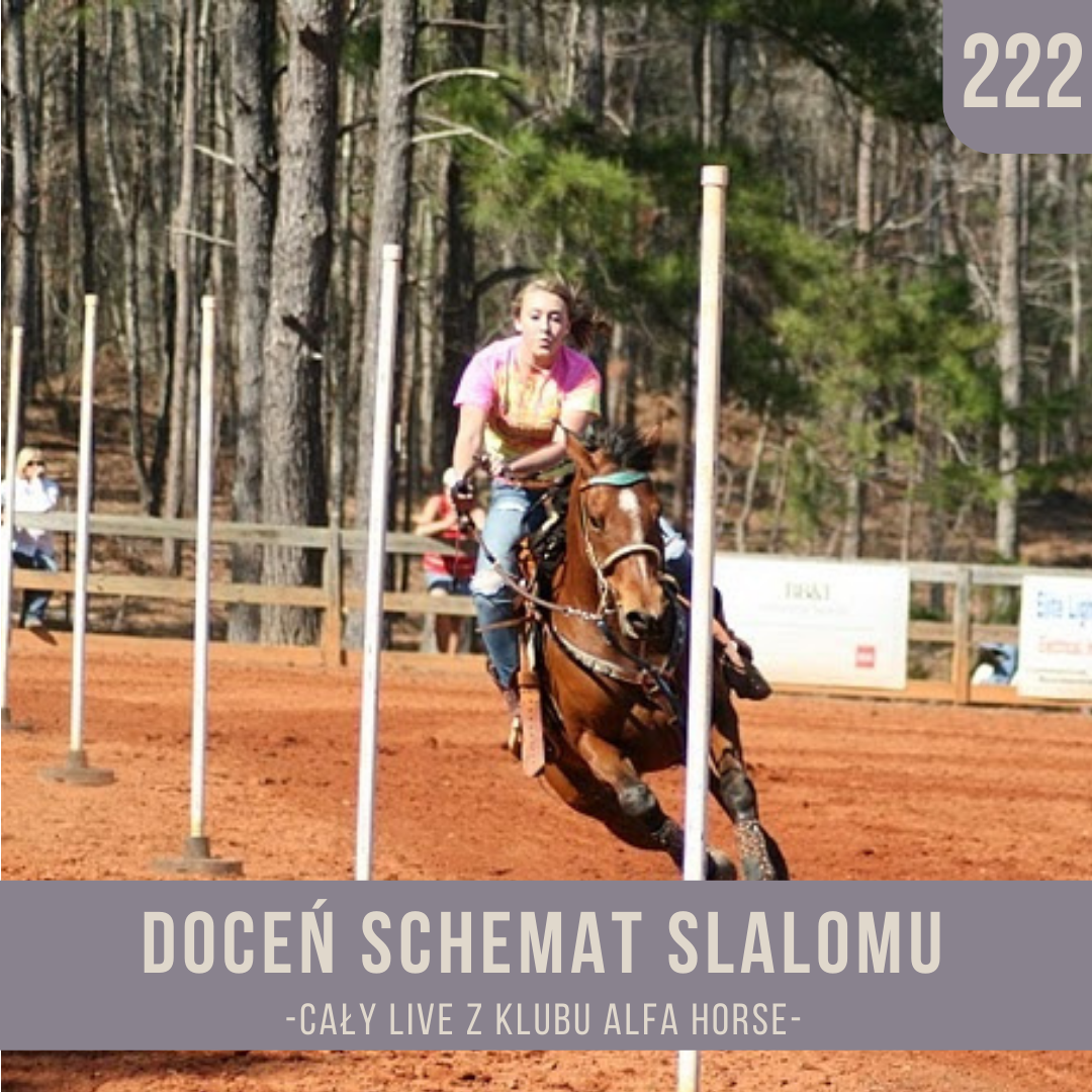 docen_schemat_slalomu