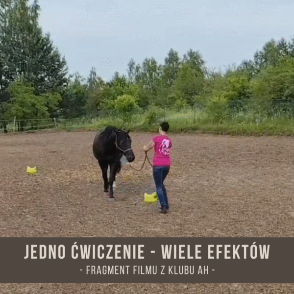 jedno_cwiczenie_wiele_efektow