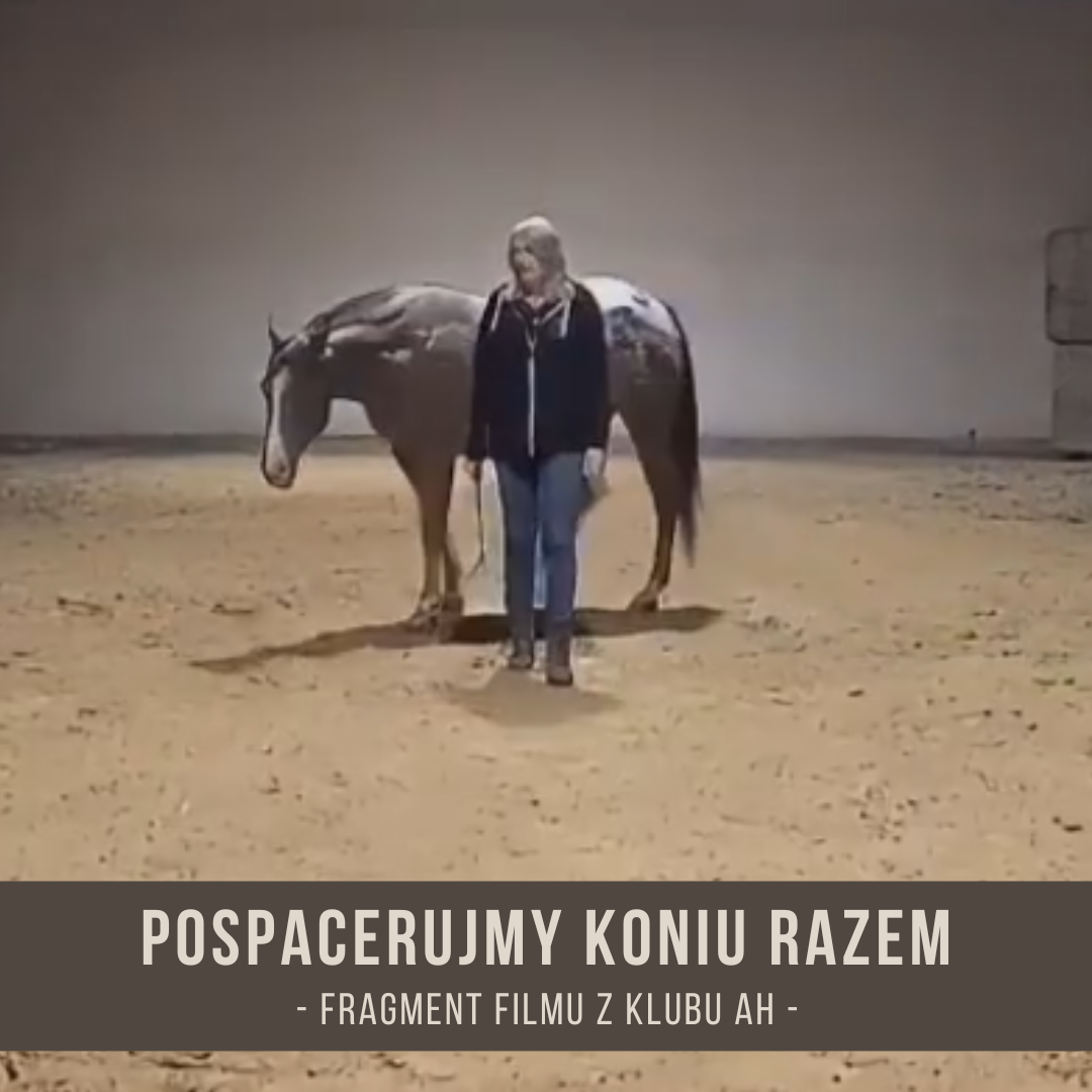 pospacerujmy_koniu_rzaem