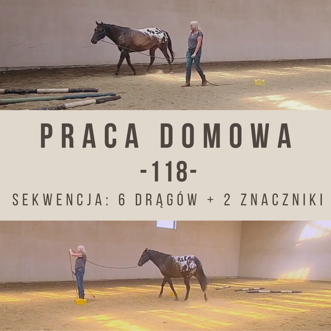 praca_domowa_118_6_dragow_2_znaczniki