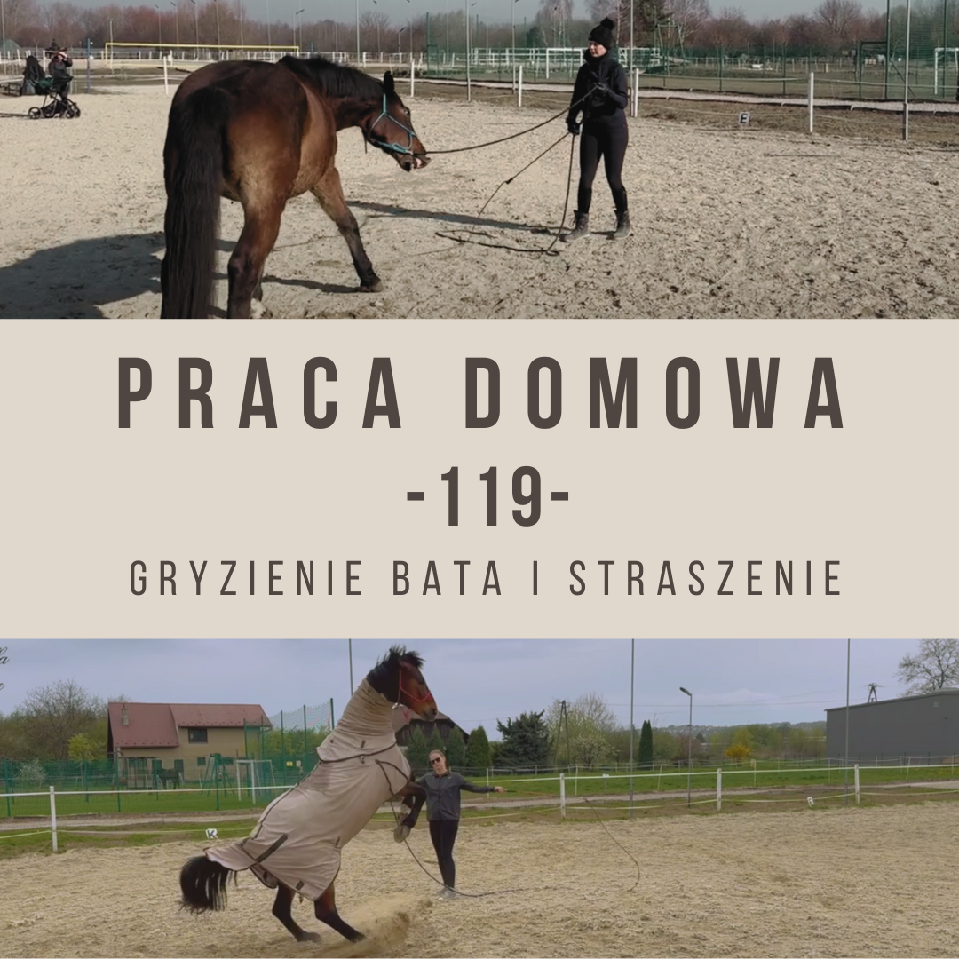 praca_domowa_119_gryzienie_bata_straszenie