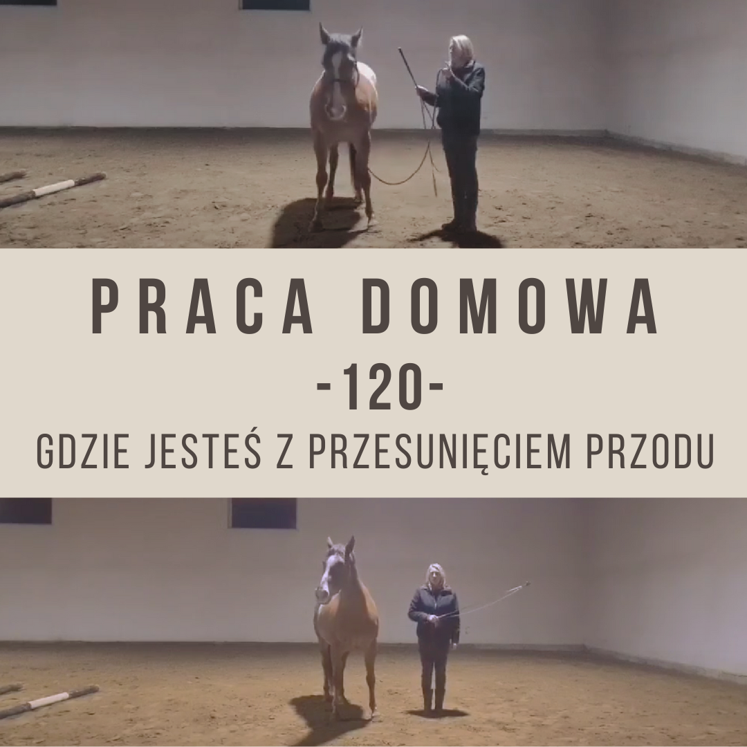 praca_domowa_120_gdzie_jestes_z_przesunieciem_przodu