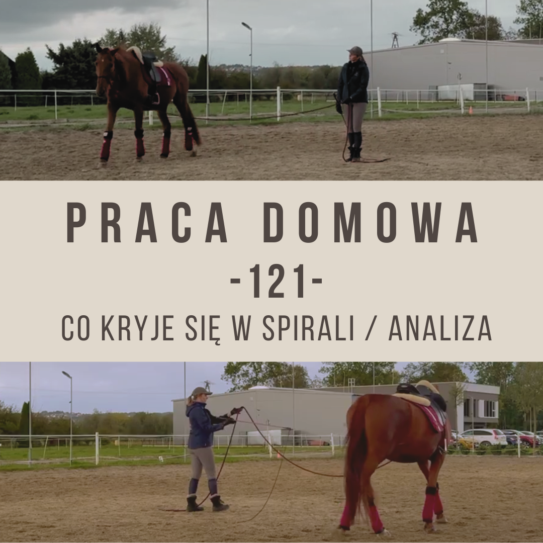 praca_domowa_121_co_kruje_sie_w_spirali
