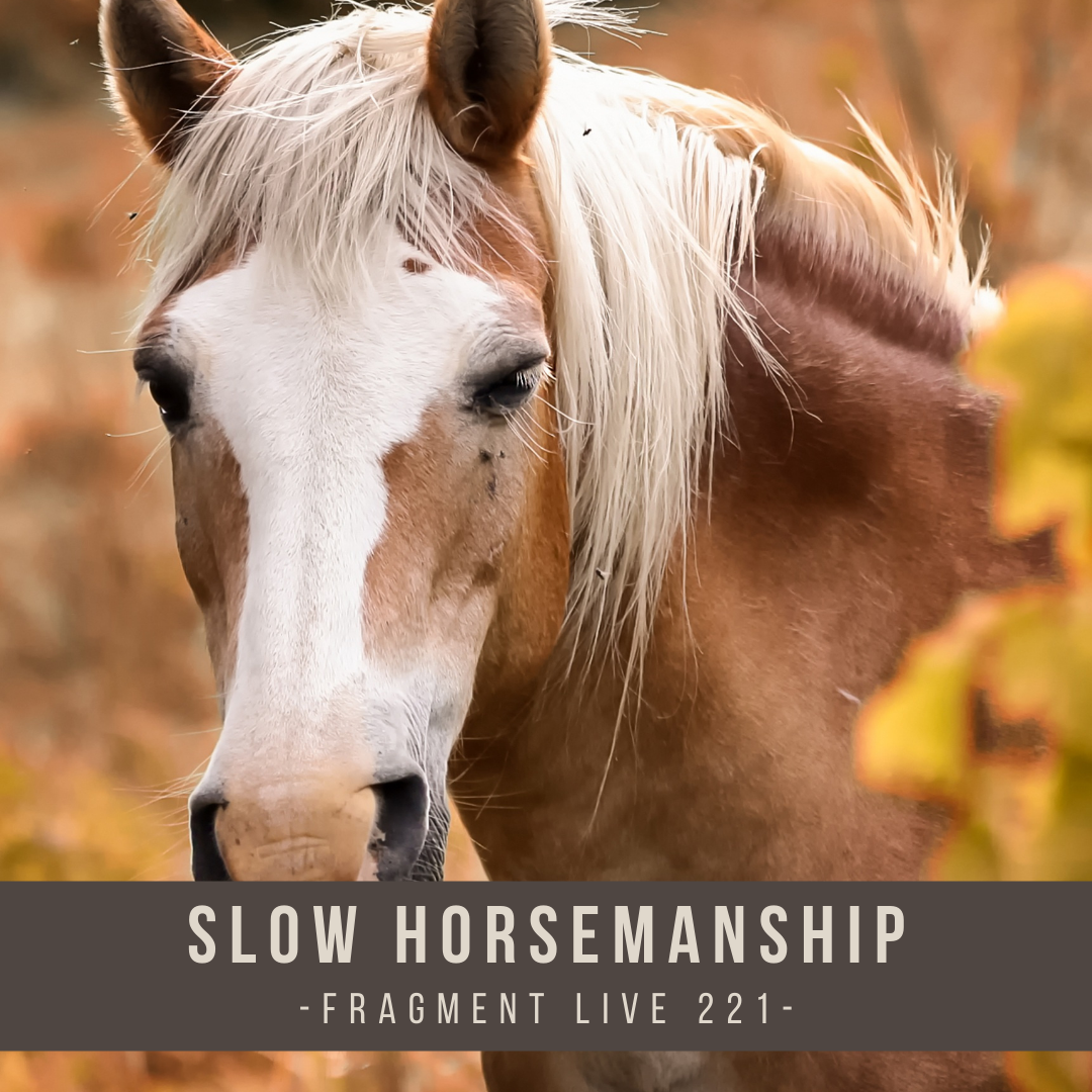slow_horsemanship