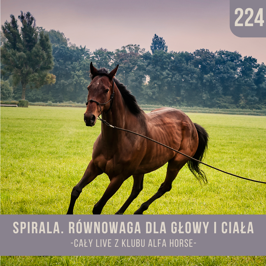 spirala_rownowaga_dla_glowy_i_ciala