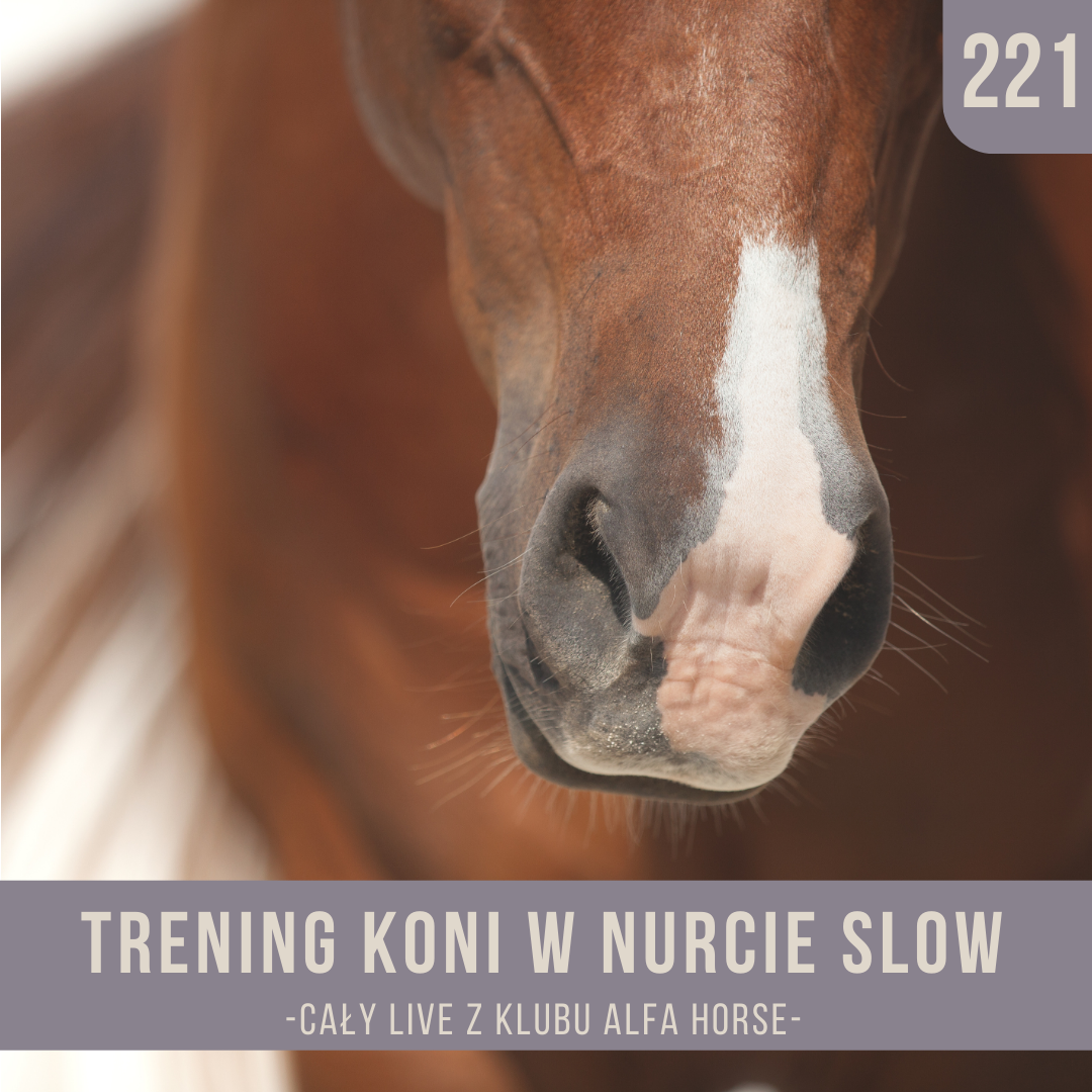 trening_koni_w_nurcie_slow